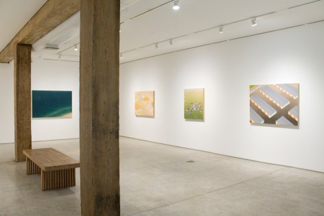 Installation View, Chris Ballantyne, Temporal: Recent Paintings and Watercolors, George Adams Gallery, New York 2019.