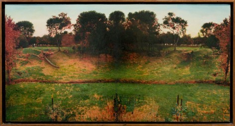 Double Green Landscape 1979-80