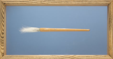 Cat Whisker Brush  2015