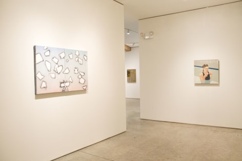 Installation view, Flat Earth Conspiracy, George Adams Gallery, New York, 2016.