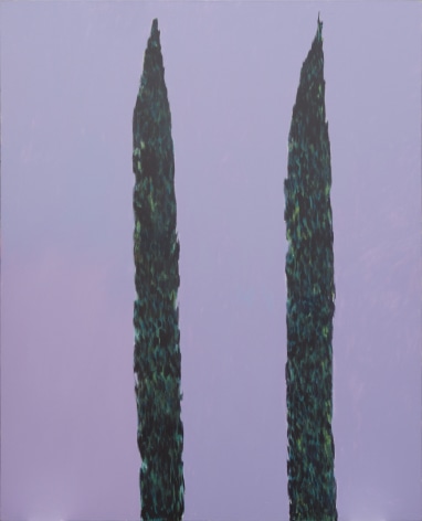 The Cypress Trees 1980