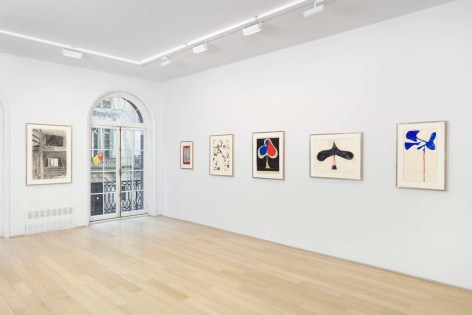 installation view with framed works