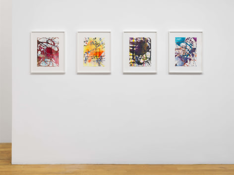installation view of paintings and drawings by Jackie Saccoccio