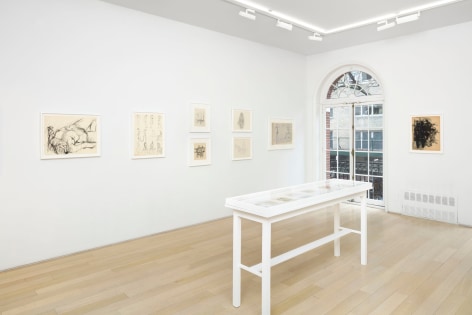 installation view with framed drawings