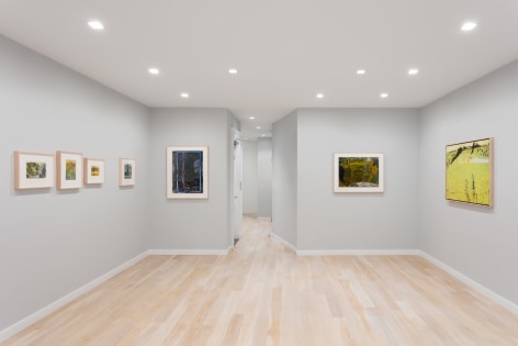 Installation view of landscape paintings by Tom Fairs