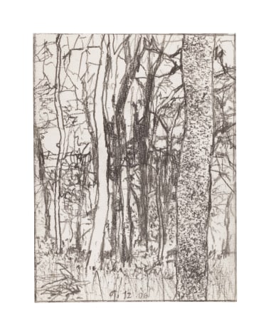 graphite drawing of a landscape with trees