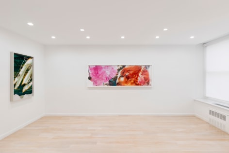 white room with large abstract photos