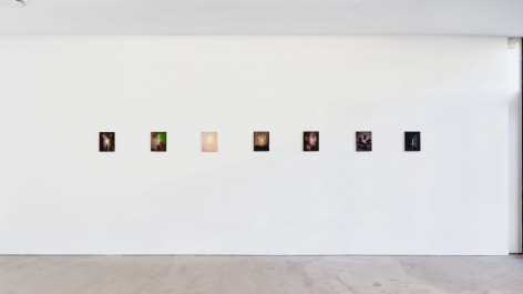 Gallery installation view