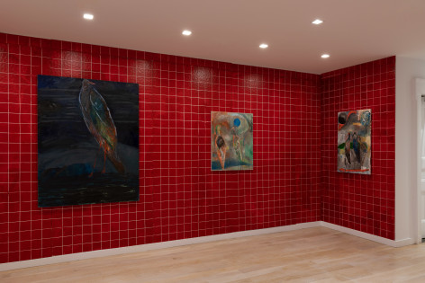 installation view of bird paintings