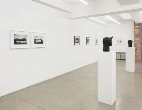 Gallery installation view