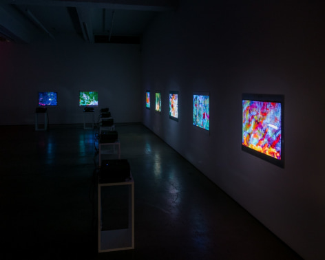 Gallery installation view