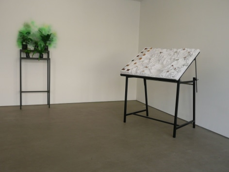 Gallery installation view