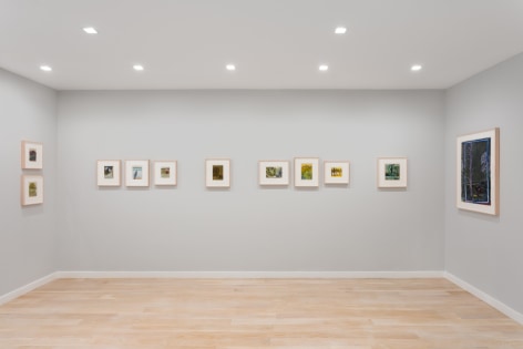 Installation view of colored landscape drawings by Tom Fairs