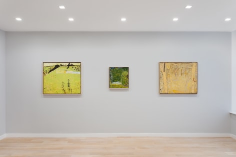 Installation view of landscape paintings by Tom Fairs