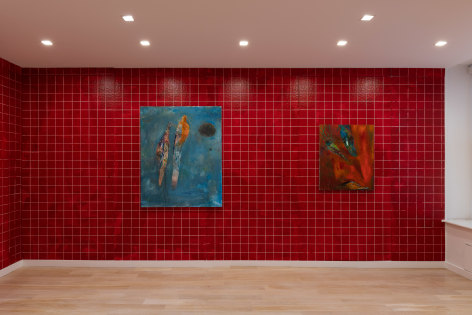 installation view of bird paintings