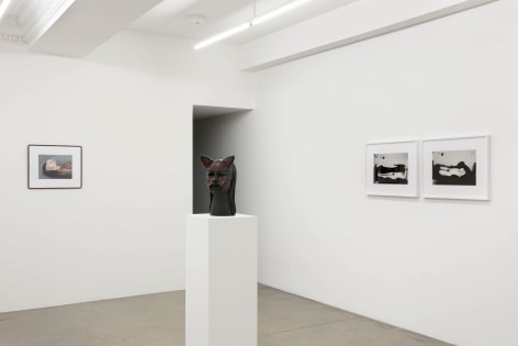 Gallery installation view