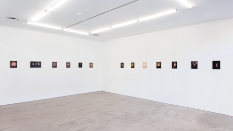 Gallery installation view