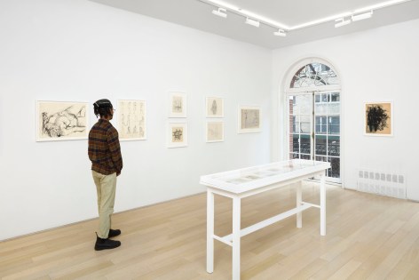 installation view with framed drawings