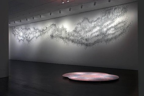 Teresita Fern&aacute;ndez Installation at the Blanton Museum of Art, 2009