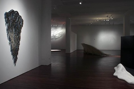 Teresita Fern&aacute;ndez Installation at the Blanton Museum of Art, 2009