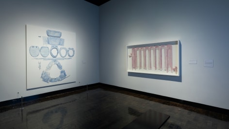 DO HO SUH, Installation view, Frist Art Museum,&nbsp;Do Ho Suh: Specimens, Oct. 12, 2018 - Jan. 6, 2019