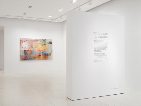 Mandy El-Sayegh:&nbsp;Still, evident (notes on dreams), Installation View, Palm Beach