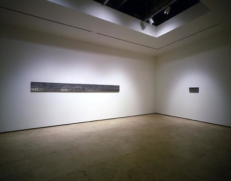 TERESITA FERN&Aacute;NDEZ Installation view 3