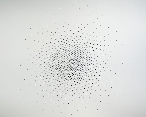 TERESITA FERN&Aacute;NDEZ Double Dissolve, 2010