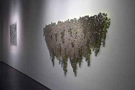 Teresita Fern&aacute;ndez Installation at the Blanton Museum of Art, 2009