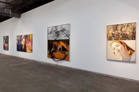  David Salle,&nbsp;Debris