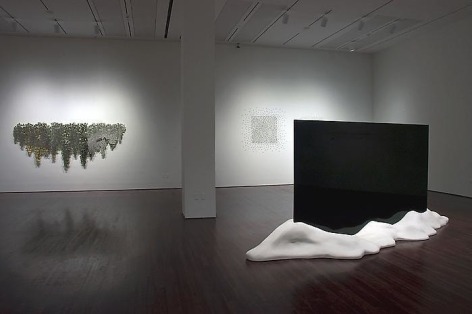 Teresita Fern&aacute;ndez Installation at the Blanton Museum of Art, 2009