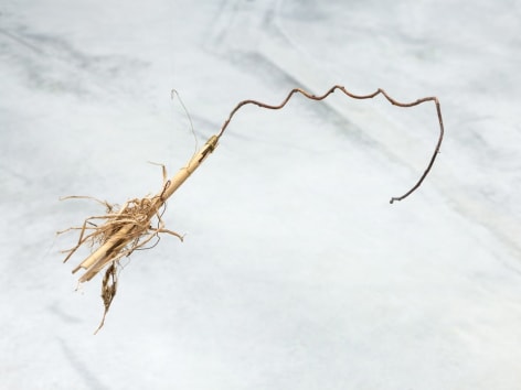 Cecilia Vicu&ntilde;a,&nbsp;NAUfraga, 2022 (detail), Mixed media, Fishnets with 161 hanging objects (83 Precario objects, 40 dried plants/wood, 36 fishnets/yute sac pieces). 236.22 x 472.44 x 2716.54 inches / 600 x 1200 x 6900 cm