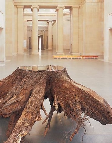 ANYA GALLACCIO Installation view, Tate Britain