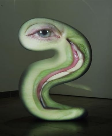 TONY OURSLER Snake, 2003