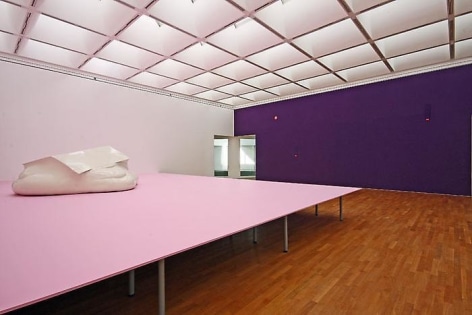  Erwin Wurm: Liquid Reality, 	Installation view Kunstmuseum Bonn, 2010