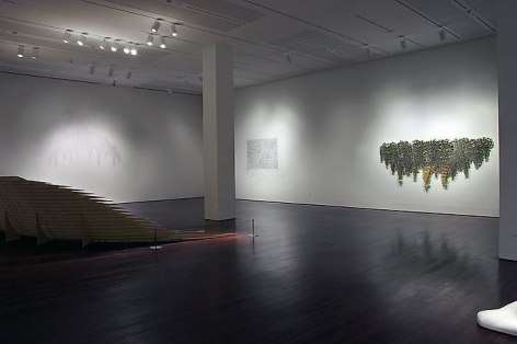 Teresita Fern&aacute;ndez Installation at the Blanton Museum of Art, 2009