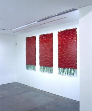 preserve &#039;beauty&#039;, 1991/2003