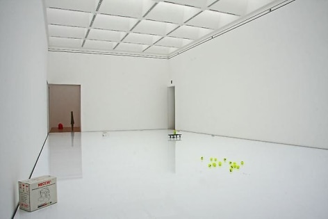  Erwin Wurm: Liquid Reality, 	Installation view Kunstmuseum Bonn, 2010