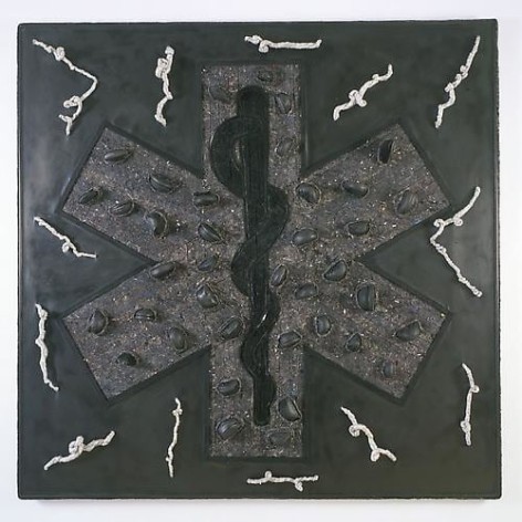 NARI WARD Star of life, 2010