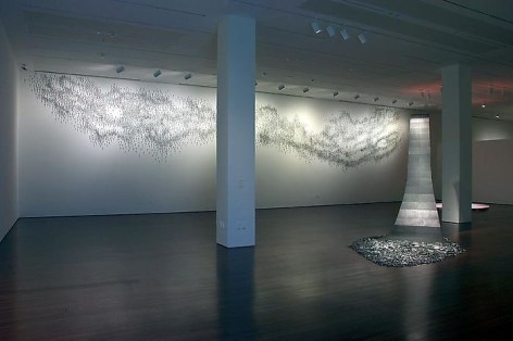 Teresita Fern&aacute;ndez Installation at the Blanton Museum of Art, 2009