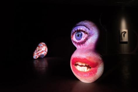 Tony Oursler: Black Box, Installation View