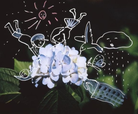 REI SATO Hydrangea, 2008