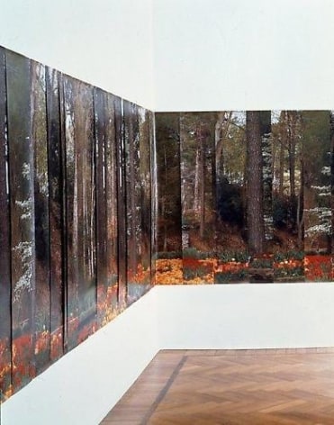 Stefano Arienti Installation view