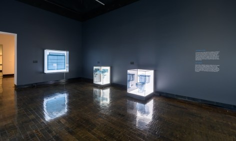 DO HO SUH, Installation view, Frist Art Museum,&nbsp;Do Ho Suh: Specimens, Oct. 12, 2018 - Jan. 6, 2019