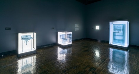 DO HO SUH, Installation view, Frist Art Museum,&nbsp;Do Ho Suh: Specimens, Oct. 12, 2018 - Jan. 6, 2019