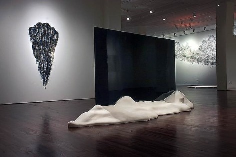 Teresita Fern&aacute;ndez Installation at the Blanton Museum of Art, 2009