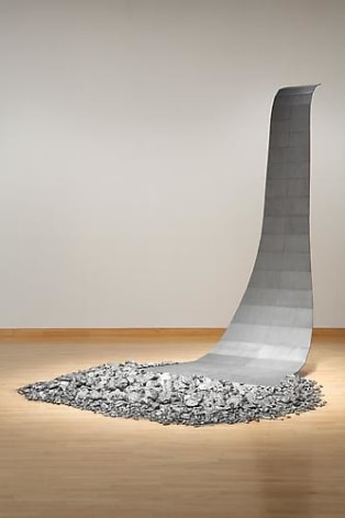 TERESITA FERN&Aacute;NDEZ Borrowdale (Drawn Waters), 2009