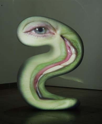 TONY OURSLER, Snake, 2003