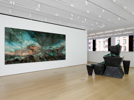 Teresita Fern&aacute;ndez, Installation View, New York