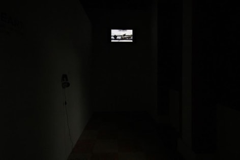 CHENG RAN 程然, Rock Dove 野鸽, Installation view, James Cohan Gallery, Shanghai, 2010